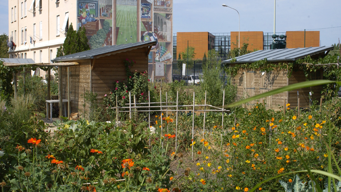 Invitation au jardin des solidarités